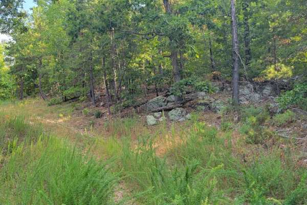 Overgrowth Spur