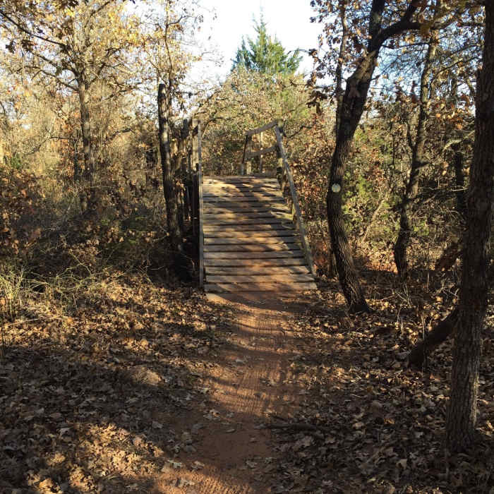 Near Orange Loop