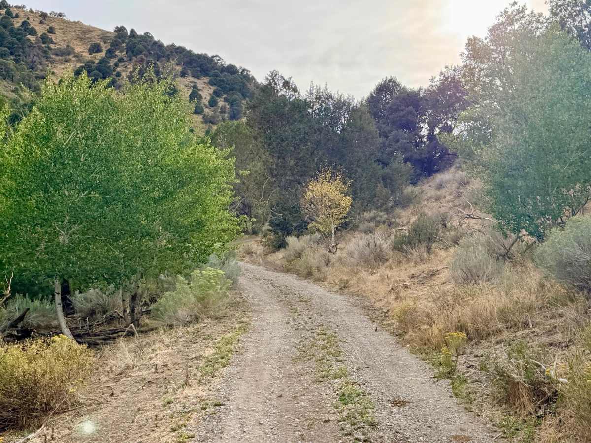  Road Canyon - FS 57111 photo 6