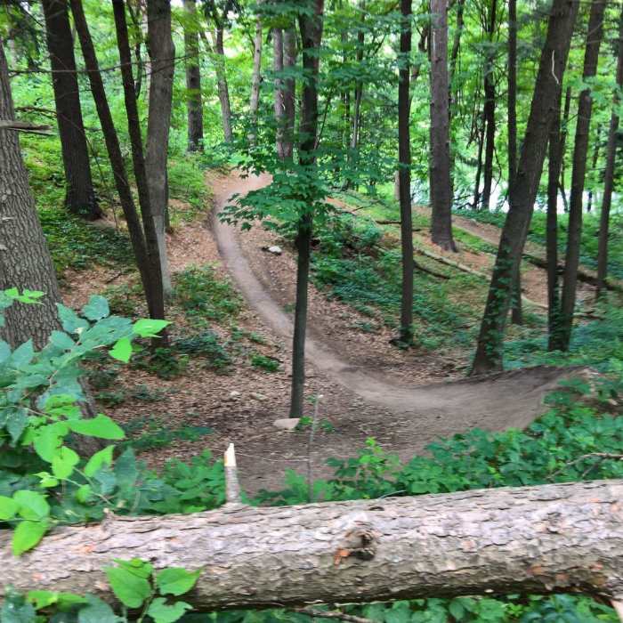 Beginning of the berms on SW Wirth. Near Quaking Bog Loop