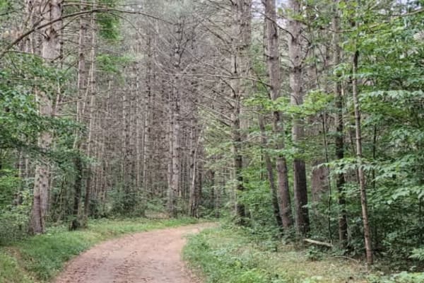 Cleveland Lake Road