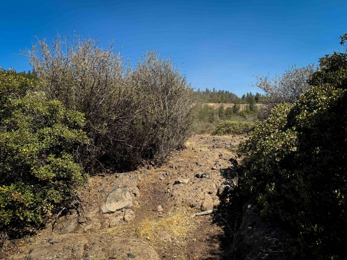 16EV253  photo 2