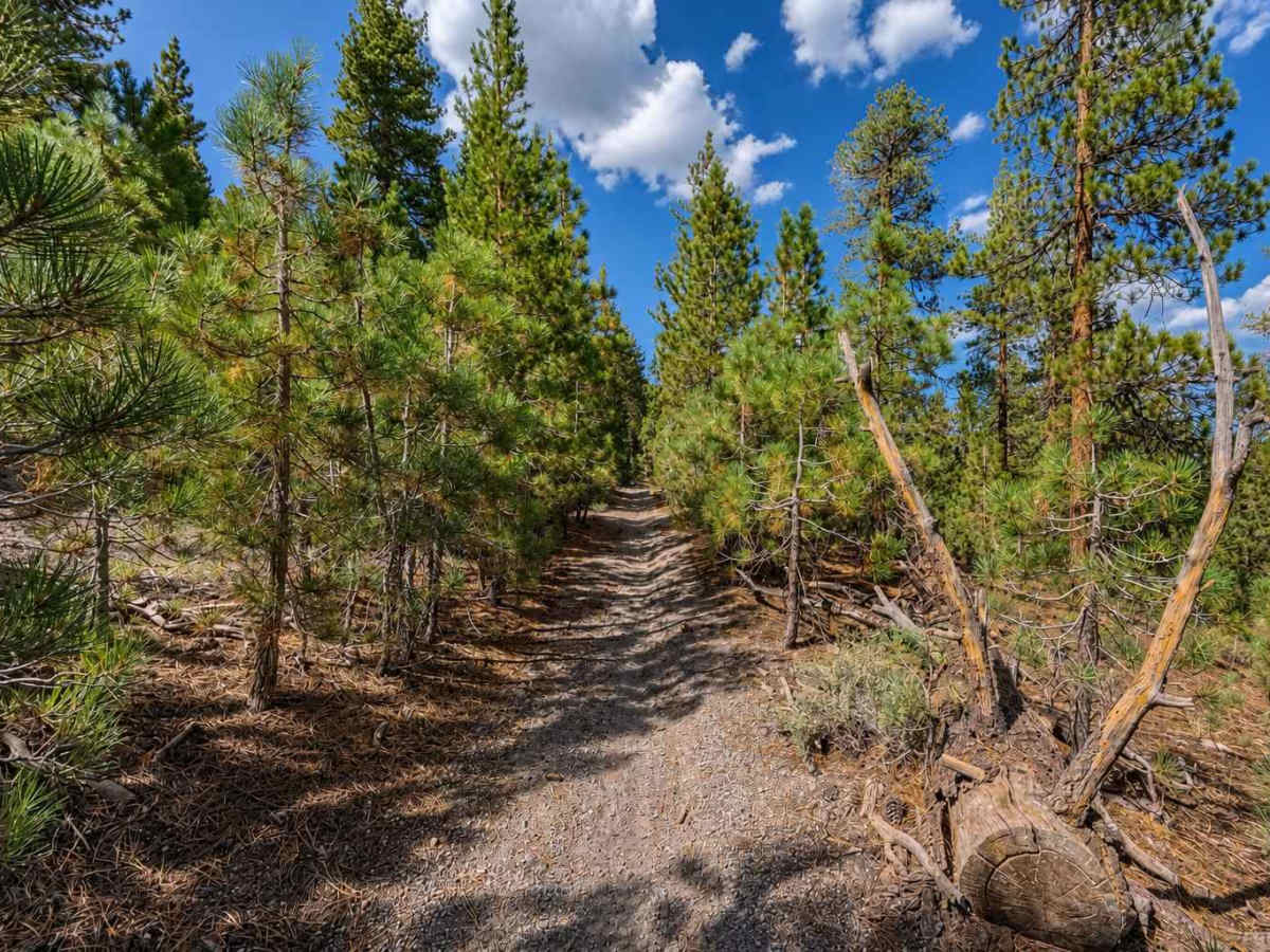 Hartley Spur Trail trail photo