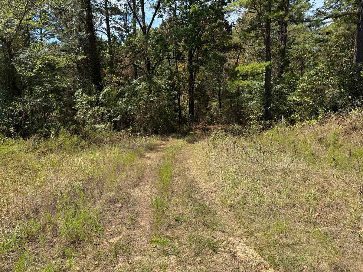 FS 96012B trail photo