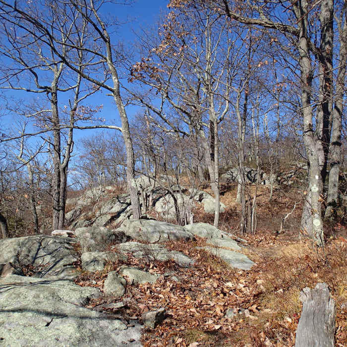 Near Split Rock Loop
