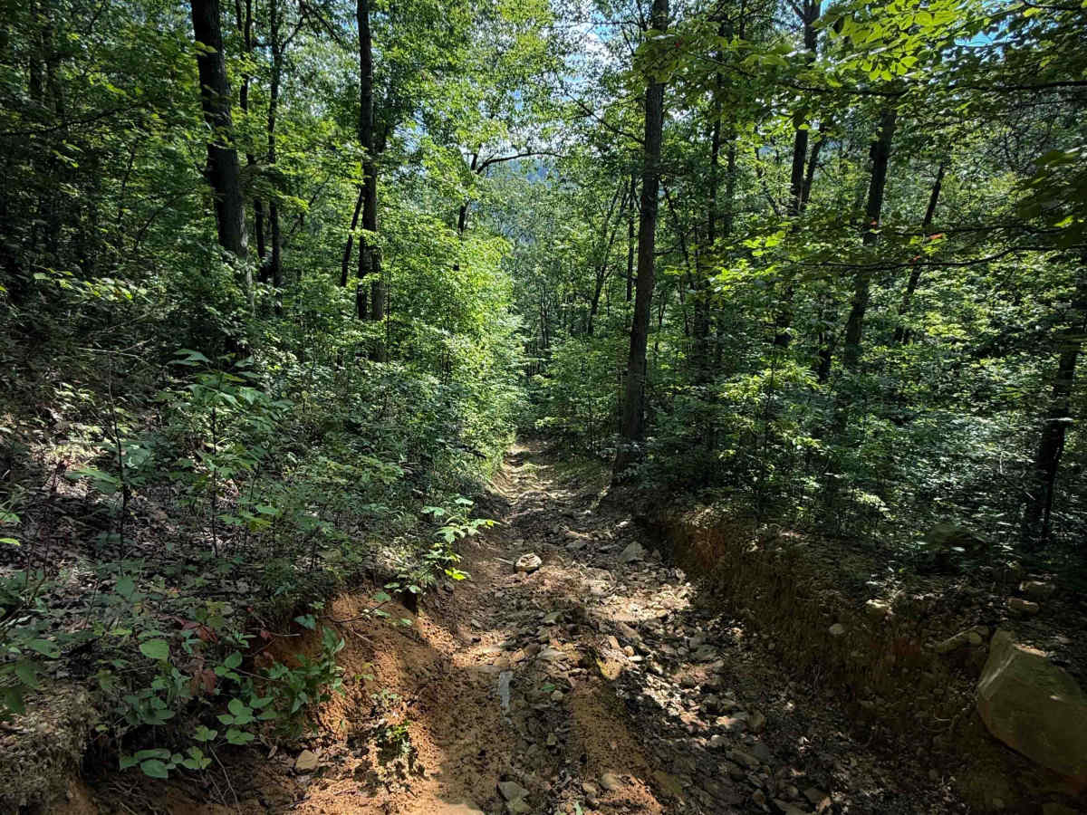 Dry Creek Trail   photo 4