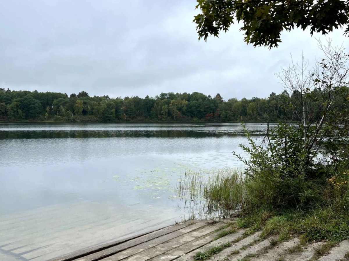 Bull Run Trail photo 3