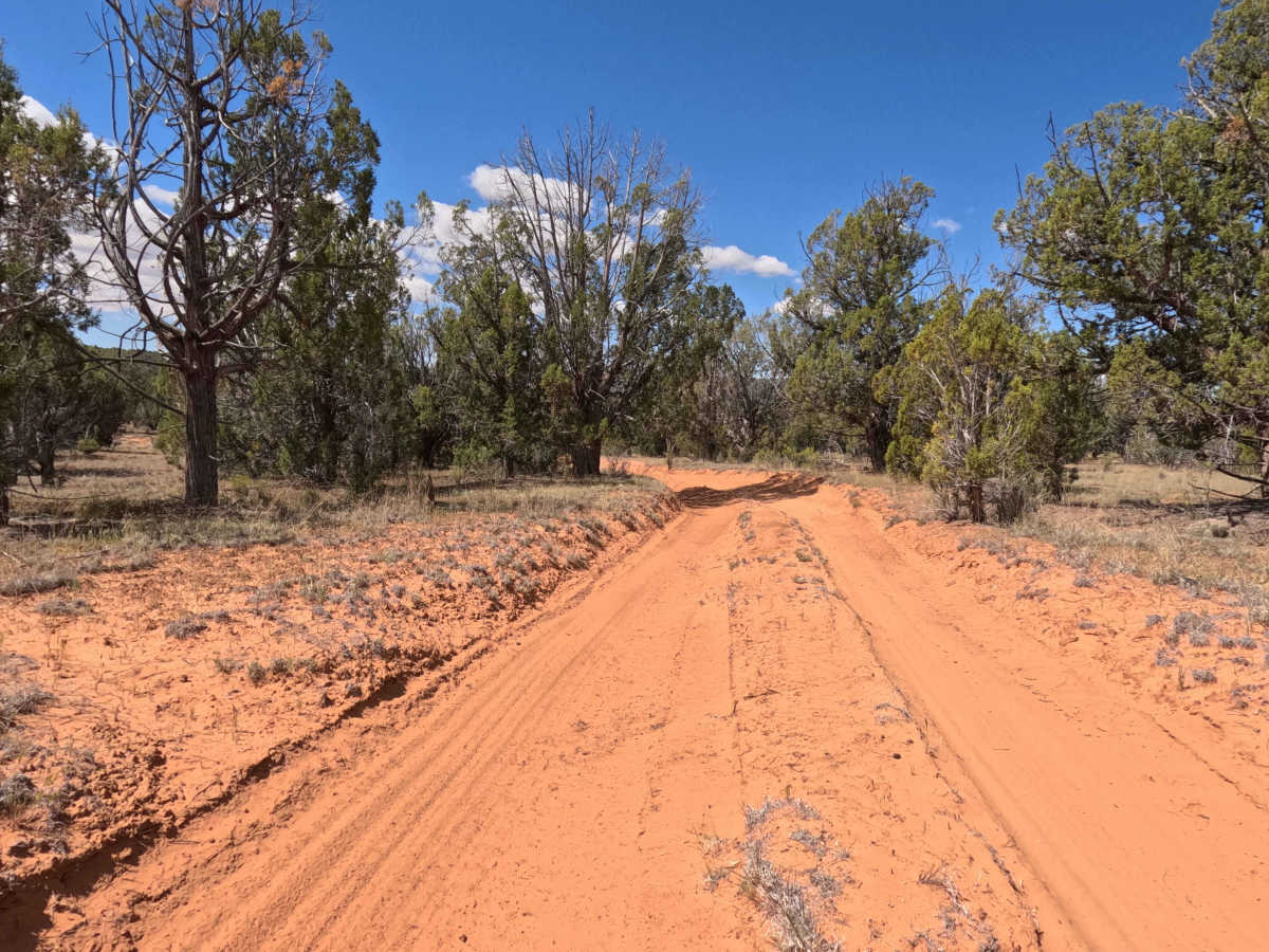 BLM 101B photo 3