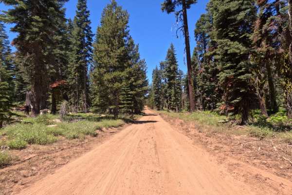 Peavine Corridor - FS 11N99A