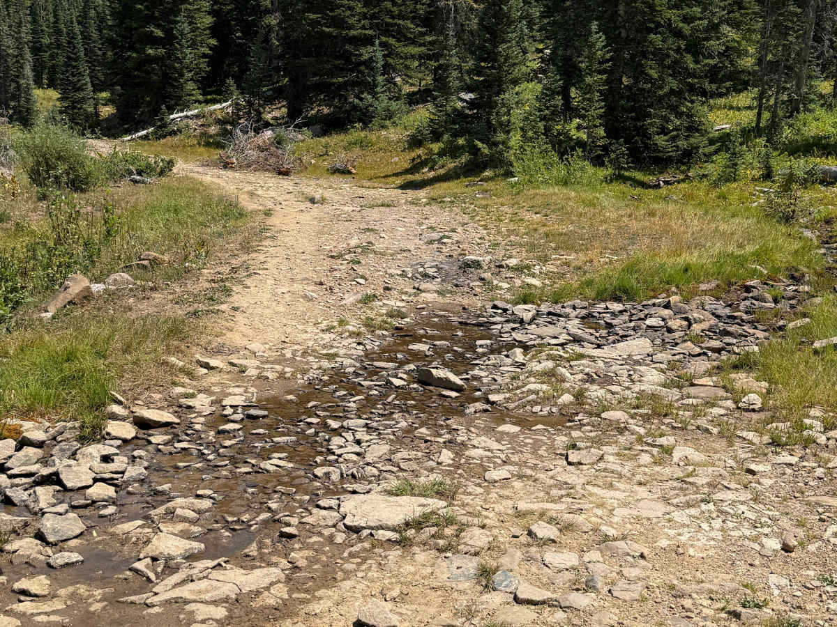 Forest Service Road 566 H photo 6