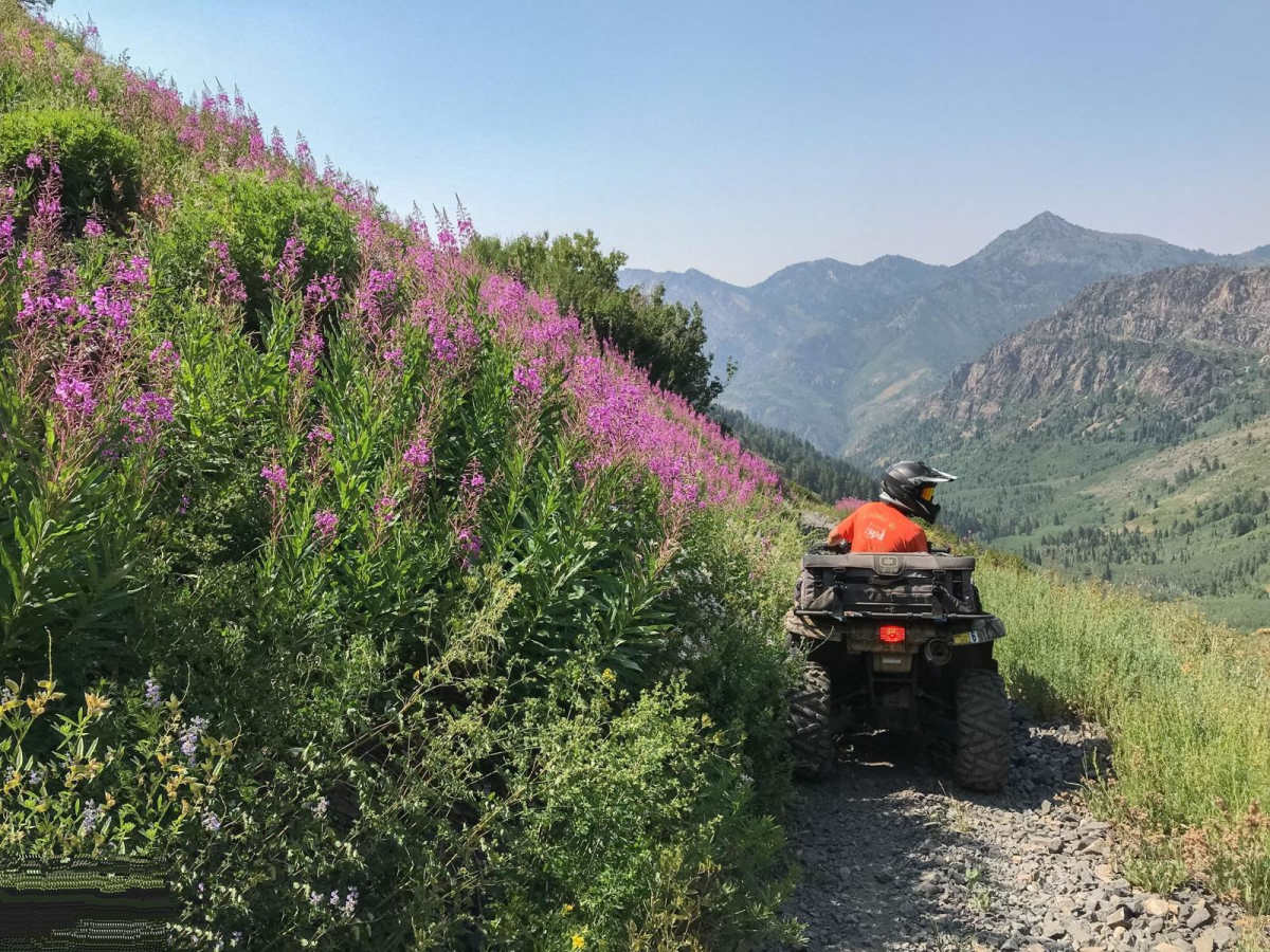 Mineral Fork photo 6