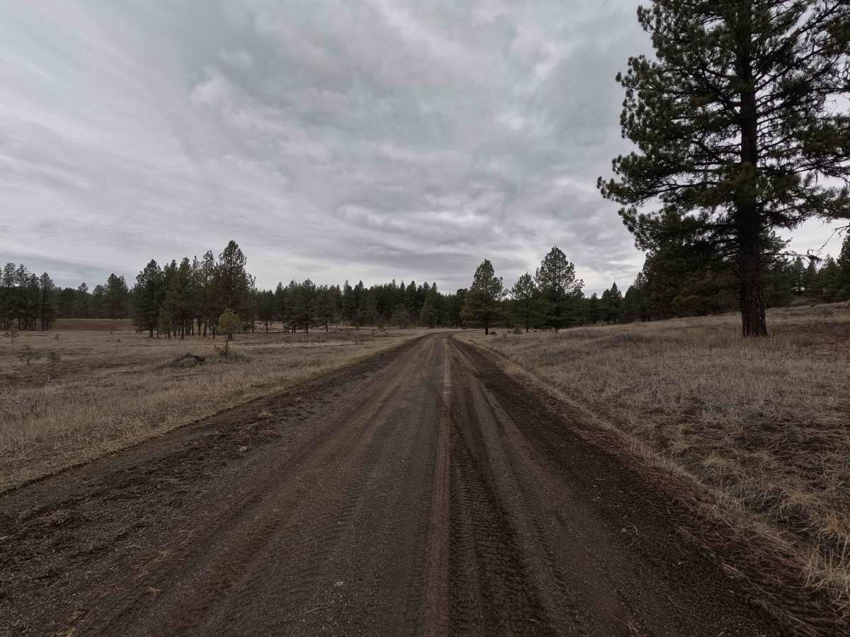 Wilson Creek Road - FS 2128 photo 5
