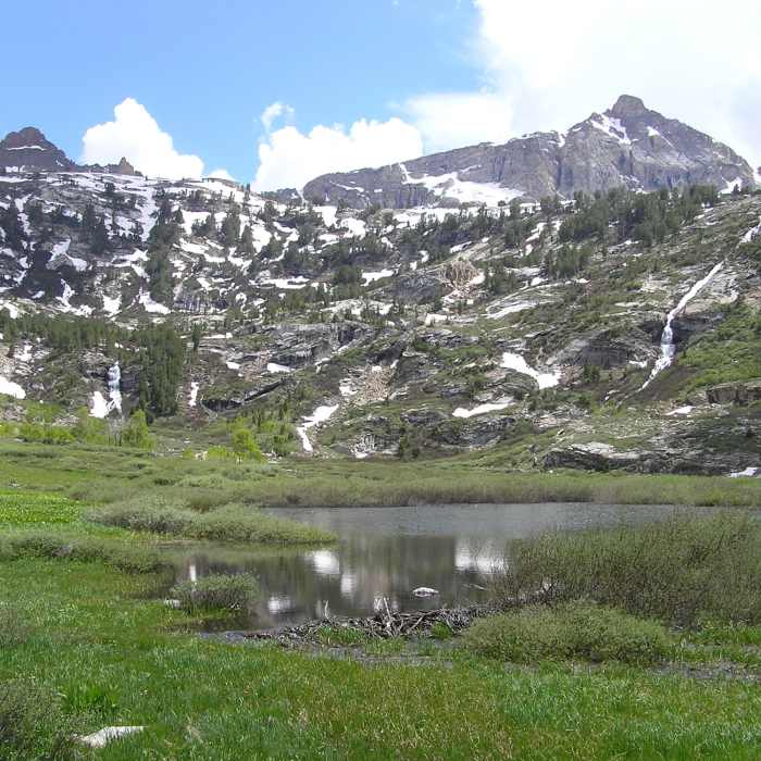 Near Thomas Creek Trail
