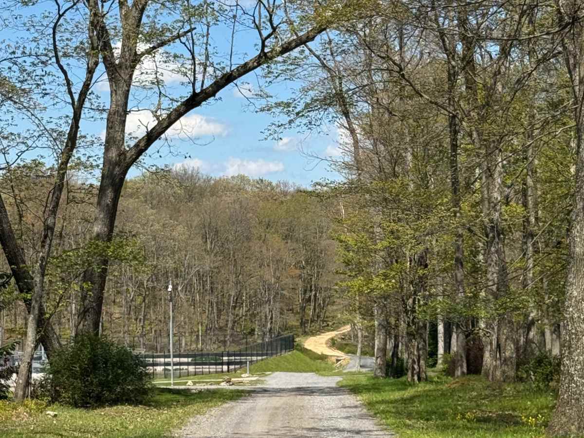 Marks Run Road trail photo