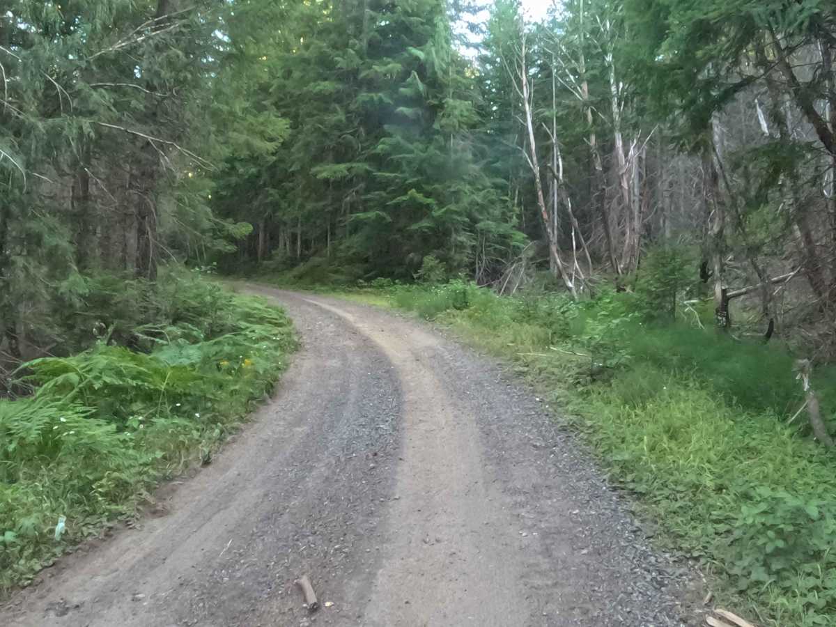Upper Hawkins - FS 2236000 photo 6