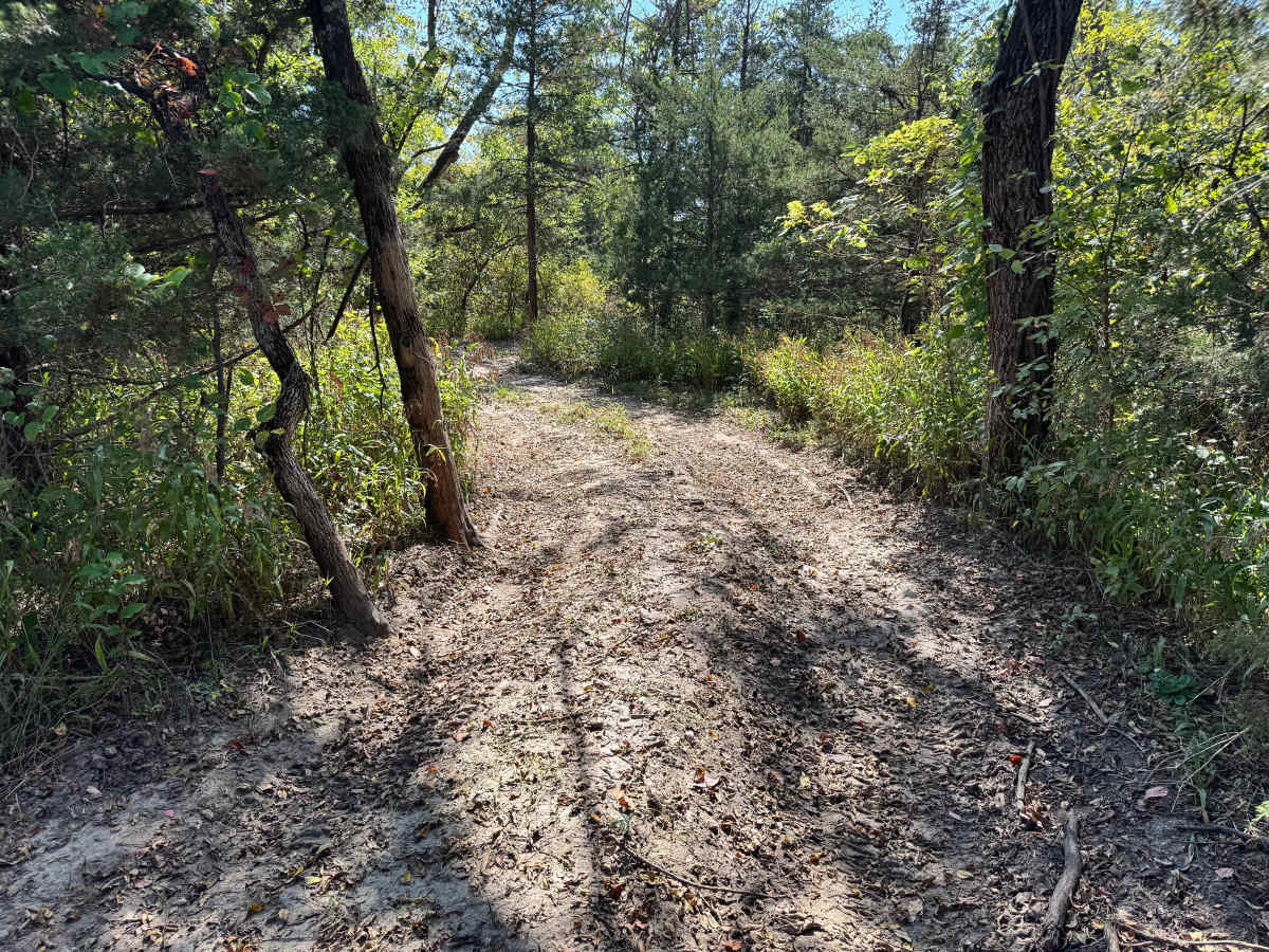 Tinker Trail photo 3