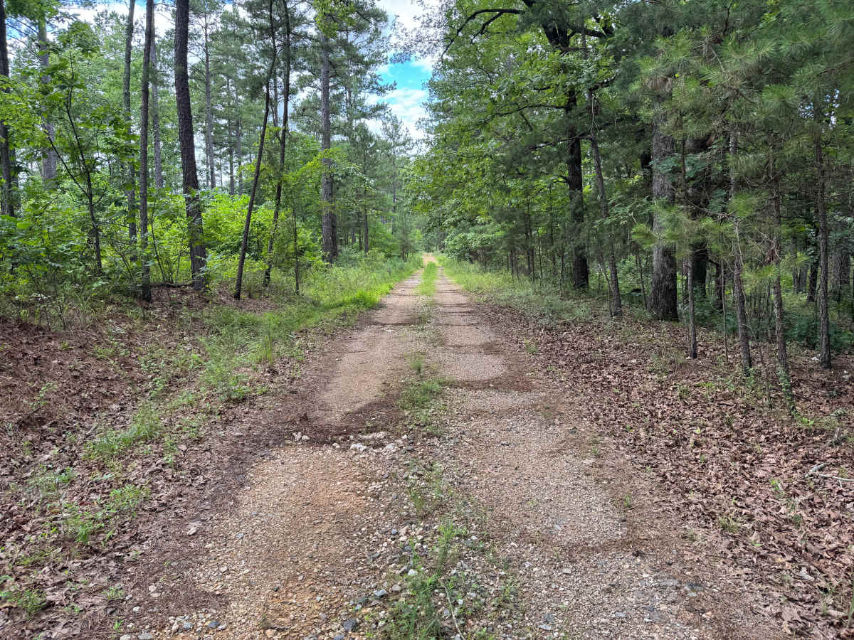 Woods Branch photo 2