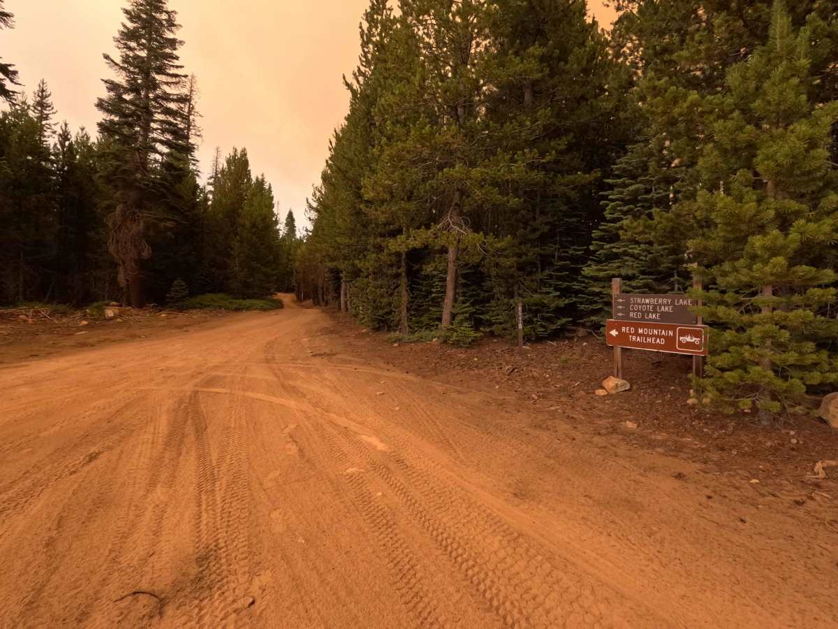 Red Lakes Road - FS 8S042 photo 4