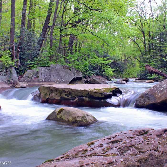 Much of the trail runs very close to beautiful sections of Decker's Creek. Near Decker's Creek Trail