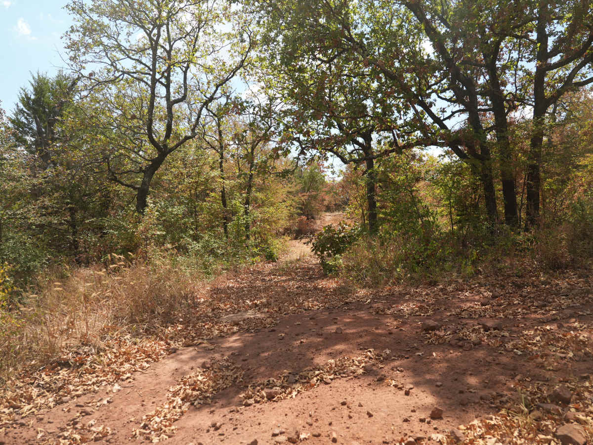 Blue 27 trail photo
