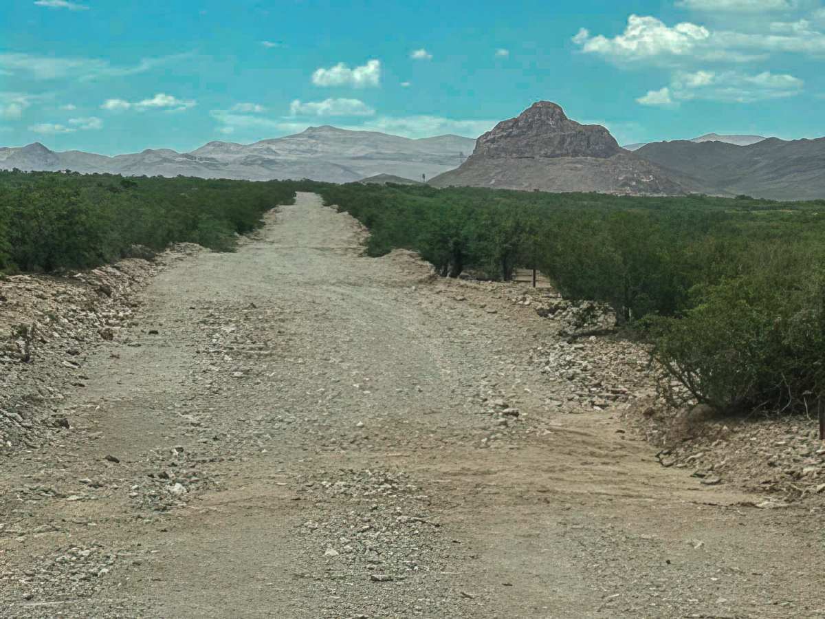 Ss1127 photo 3
