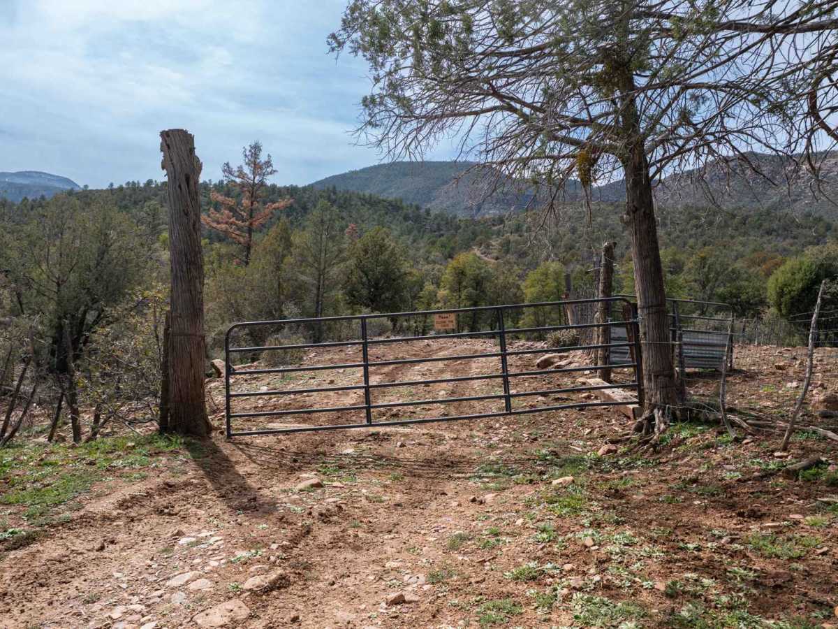 Cow Flat Road - FS 329 photo 5
