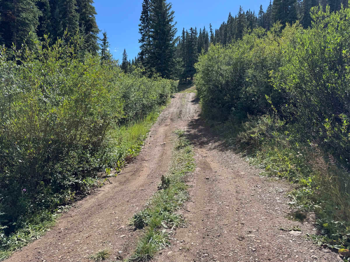 Molas Mine Road photo 2