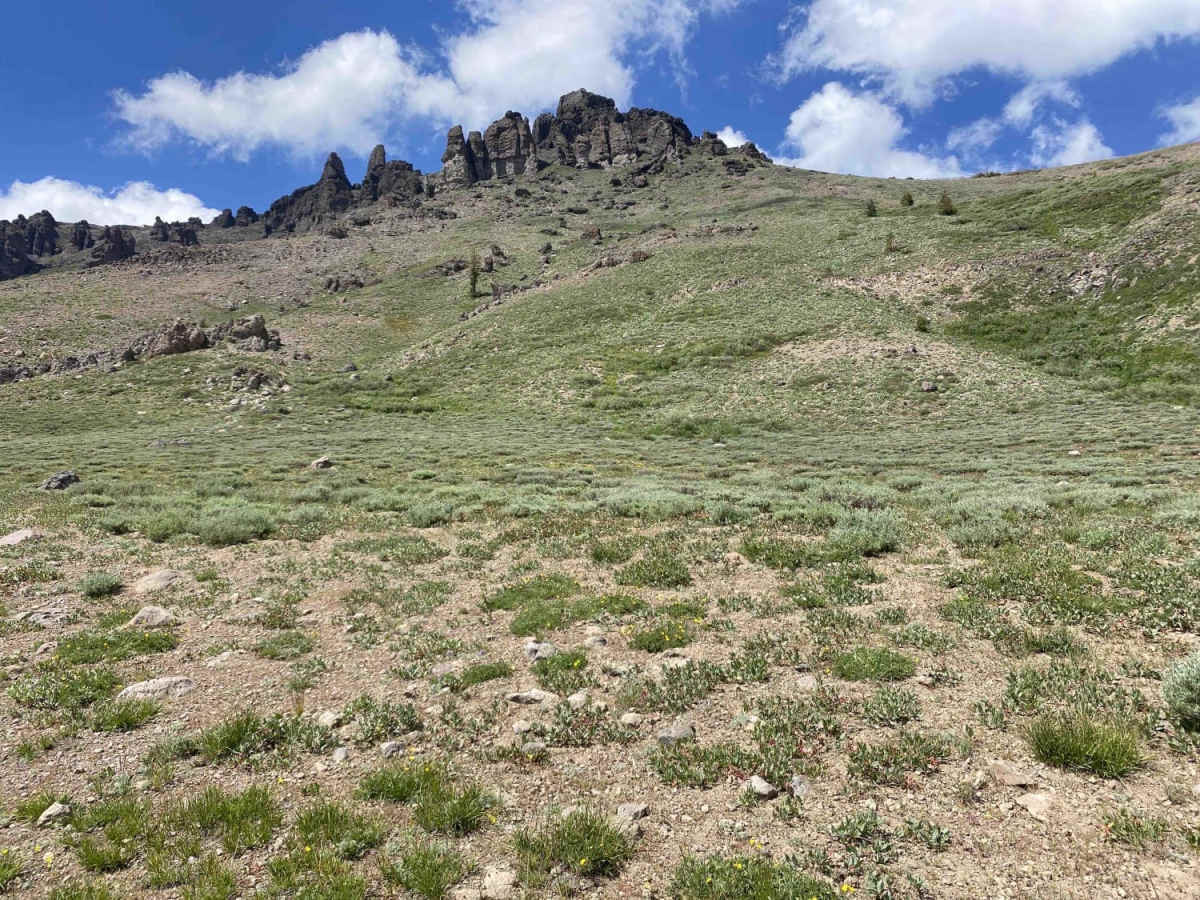 Horse Canyon Trail 17E21 photo 3