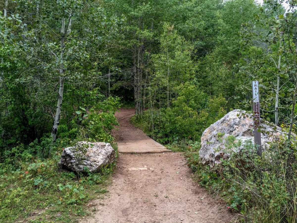 Summit Canyon photo 6