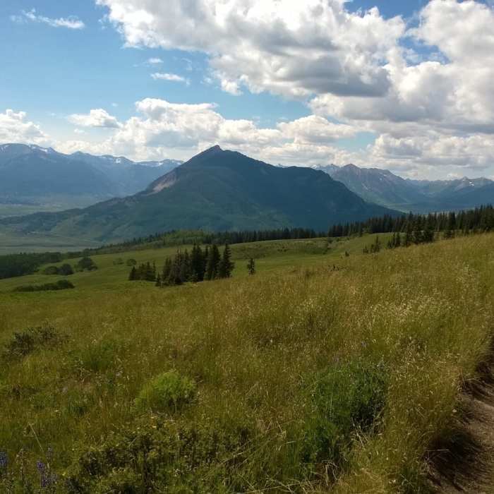 Near Trail 409.5
