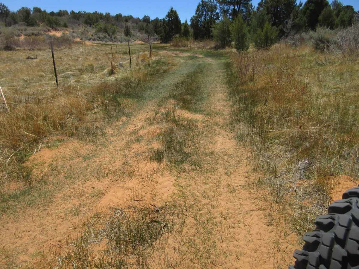 Shunesburg Maildrop-Warrior Walk Loop trail photo