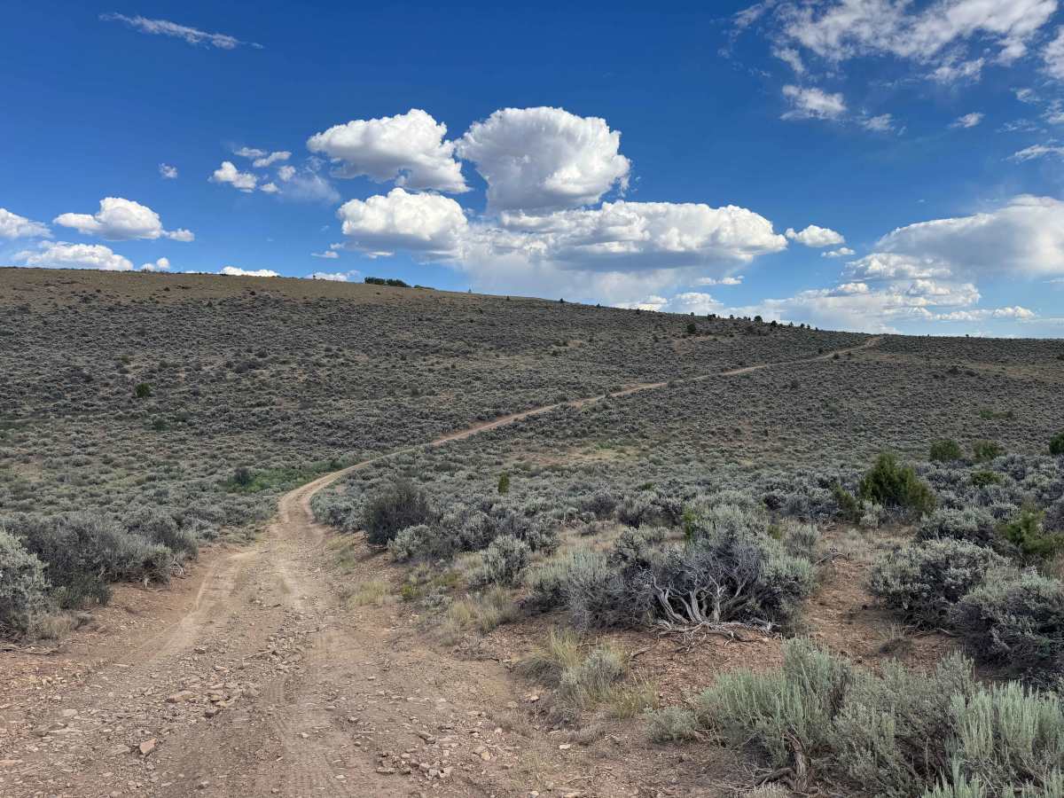 BLM 8453 trail photo