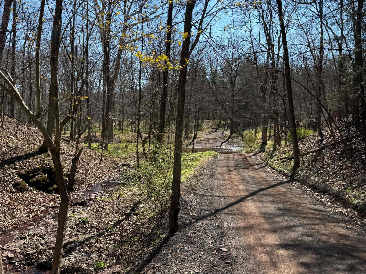 Municipal Road Creek Crossing photo 3