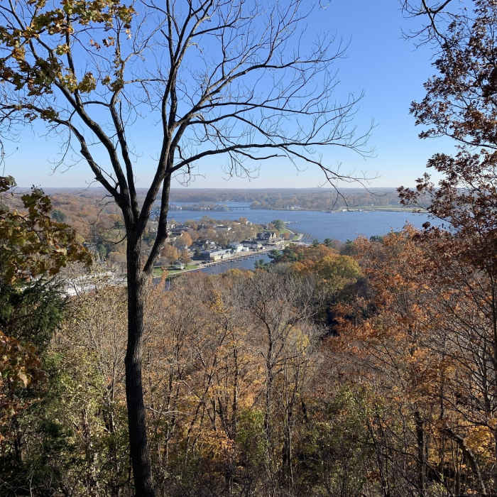 View from Mount Baldhead. Near Water Tower - Lagoon - Mount Baldhead - Oval Beach