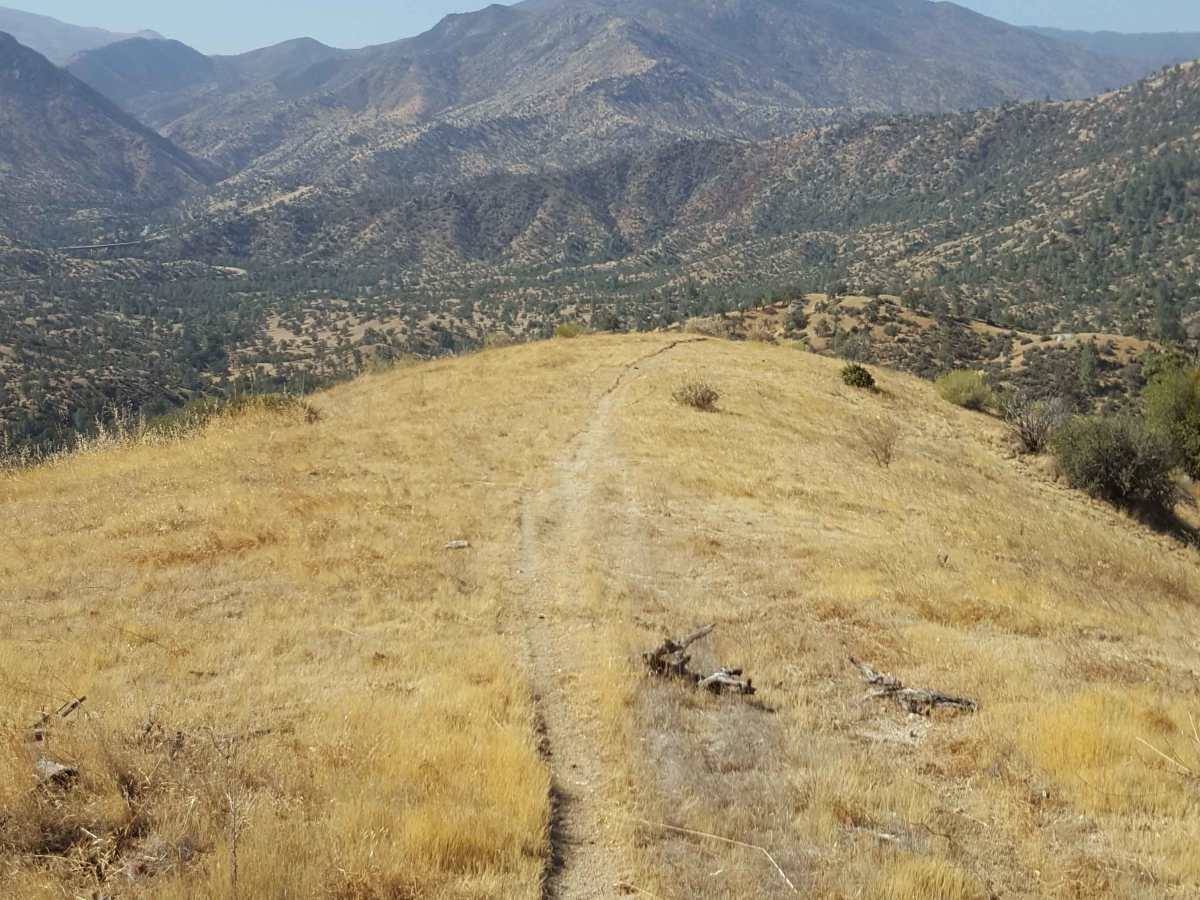 Hogeye Ridge Trail - FS 32E45 photo 4