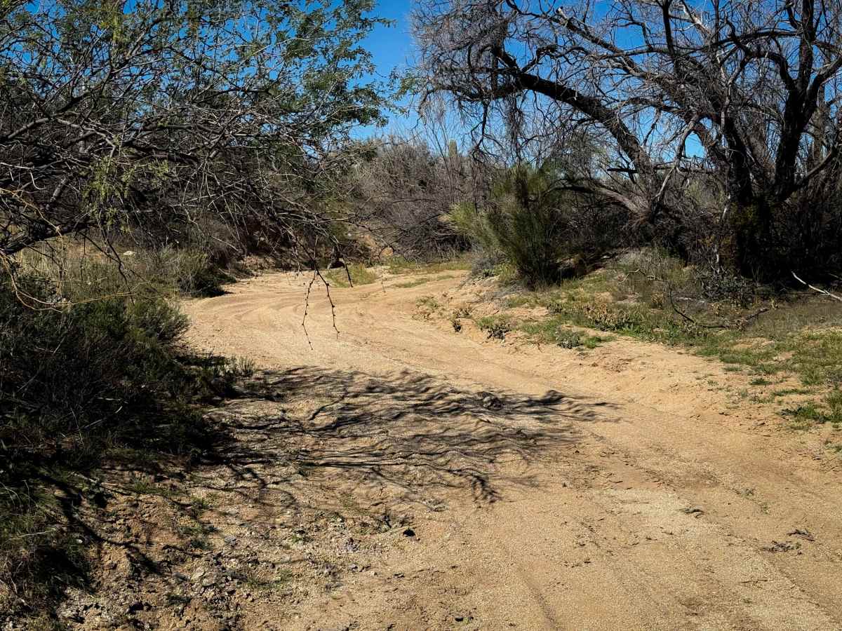 Freeman Road Wash photo 6