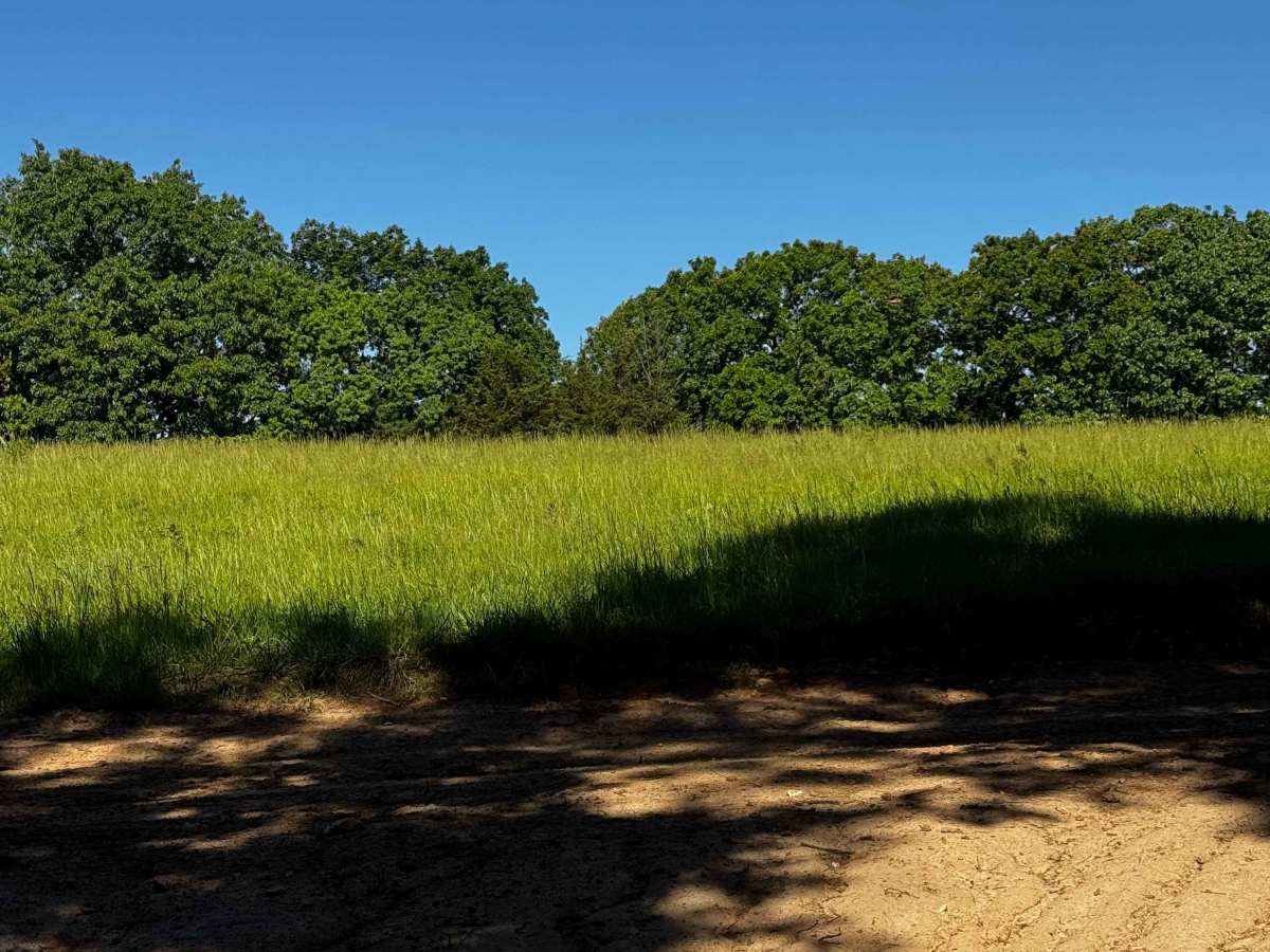 Inner Trail 13 photo 5