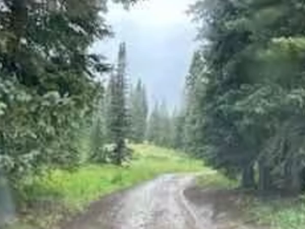Burnt Mountain Road - FR651 photo 5