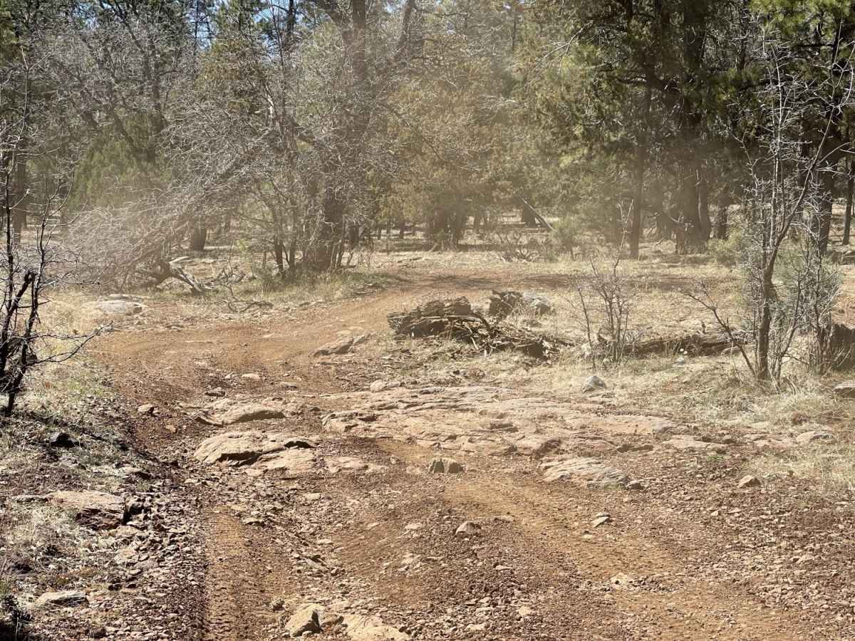 Gobbler Springs Road photo 3