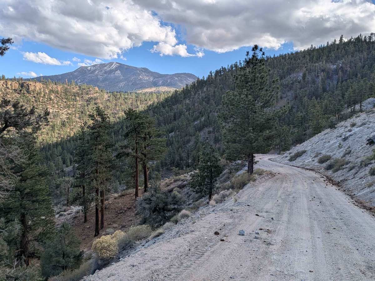Crooked Meadow Road East photo 3