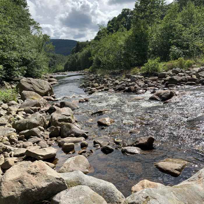 Near Red Creek Trail