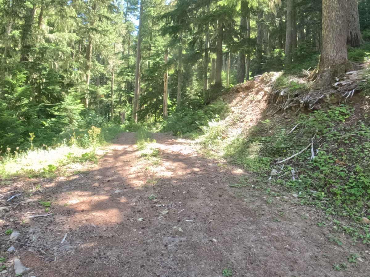 Crescent Creek Road - FS 2067510  photo 3