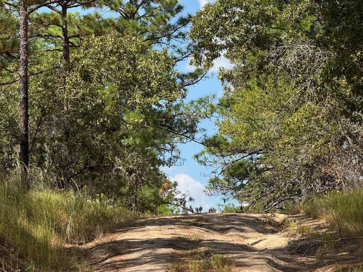 Naked Creek Lane photo 5