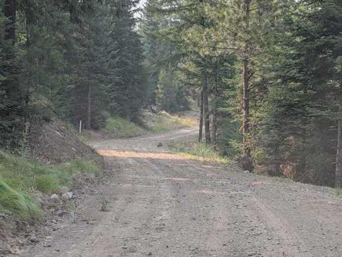 Dot Road photo 2
