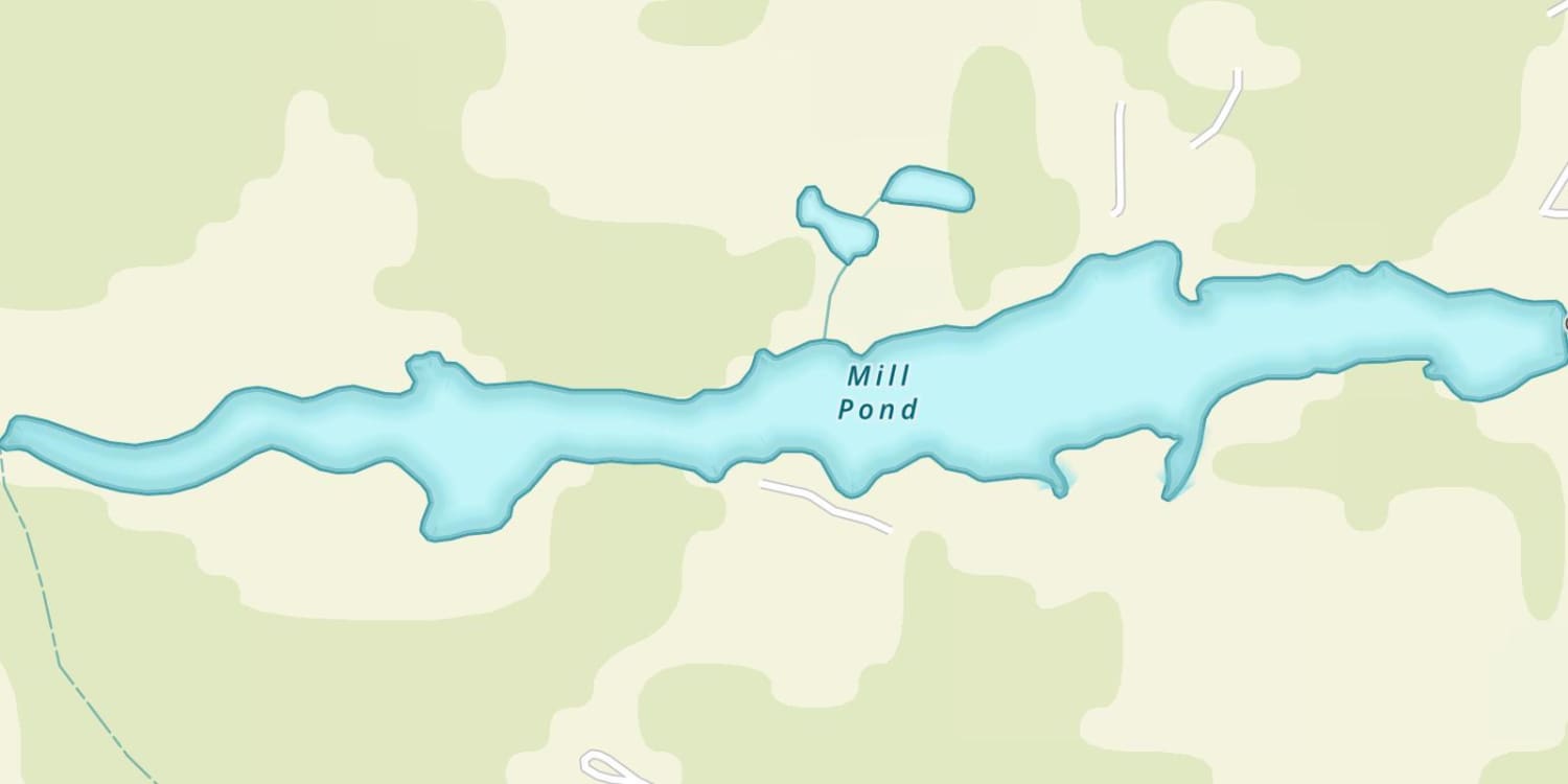 Mill Pond