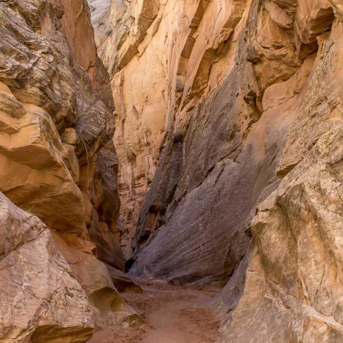 Near Cottonwood Narrows