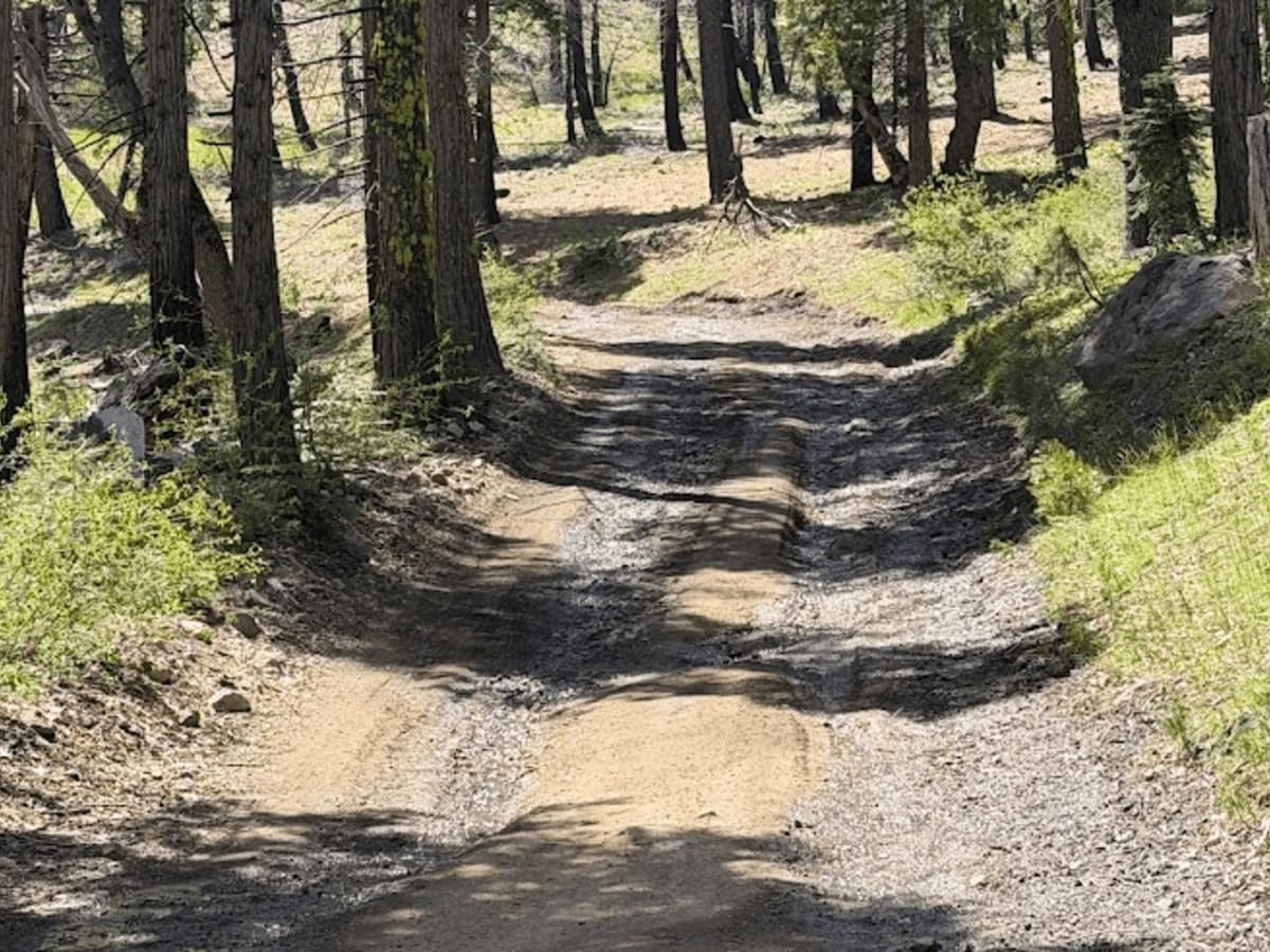 Houtts - FS 10N44 trail photo