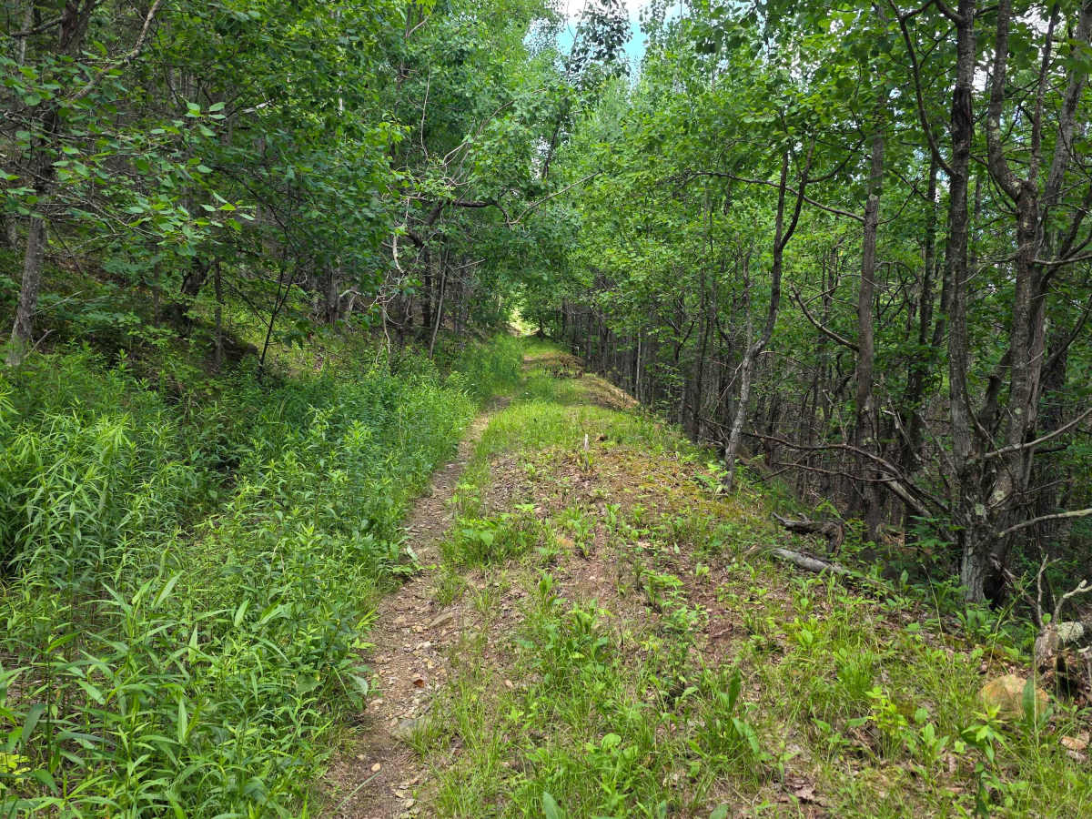 Single Track AB photo 4
