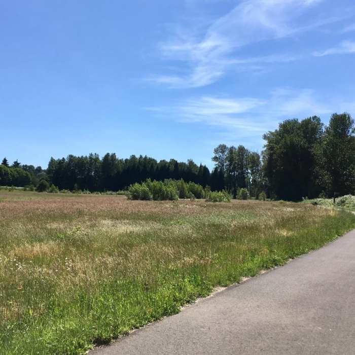 Near Oxbow Slough Loop