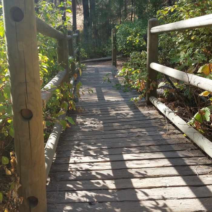 Near Goldback Loop Trail